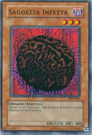 Saggezza Infetta