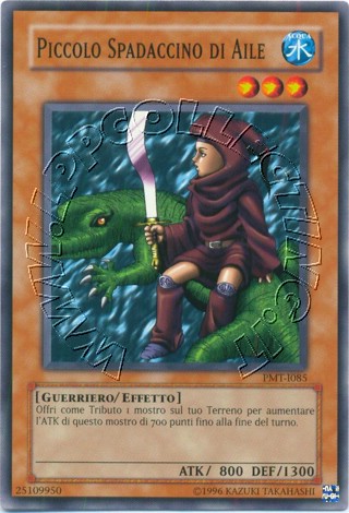 Piccolo Spadaccino di Aile