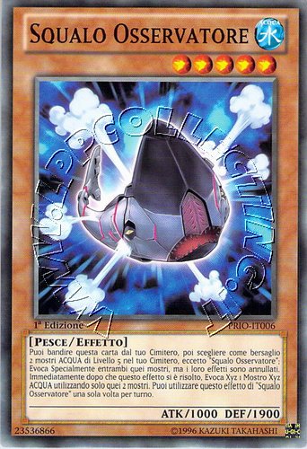 Squalo Osservatore
