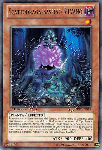 Scattodragassassino Silvano