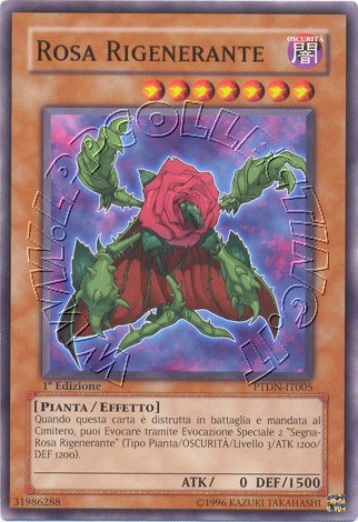Rosa Rigenerante