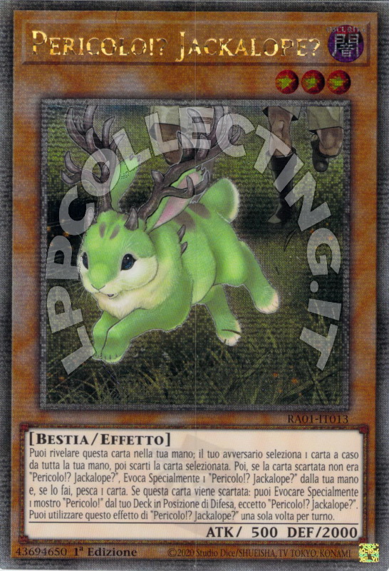 Pericolo!? Jackalope?