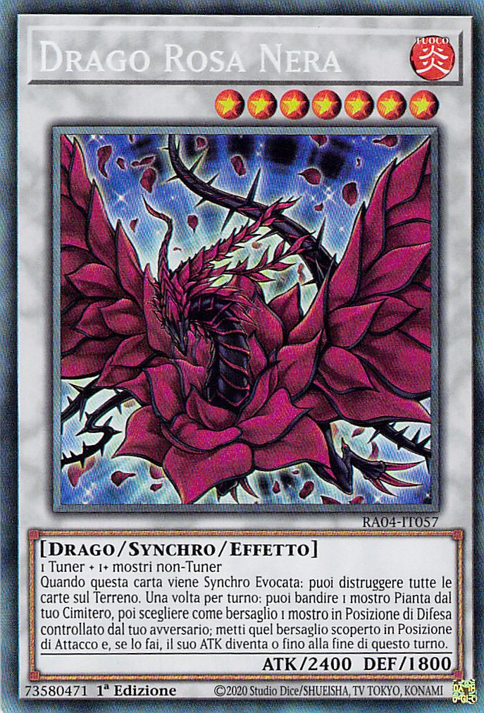 Drago Rosa Nera 