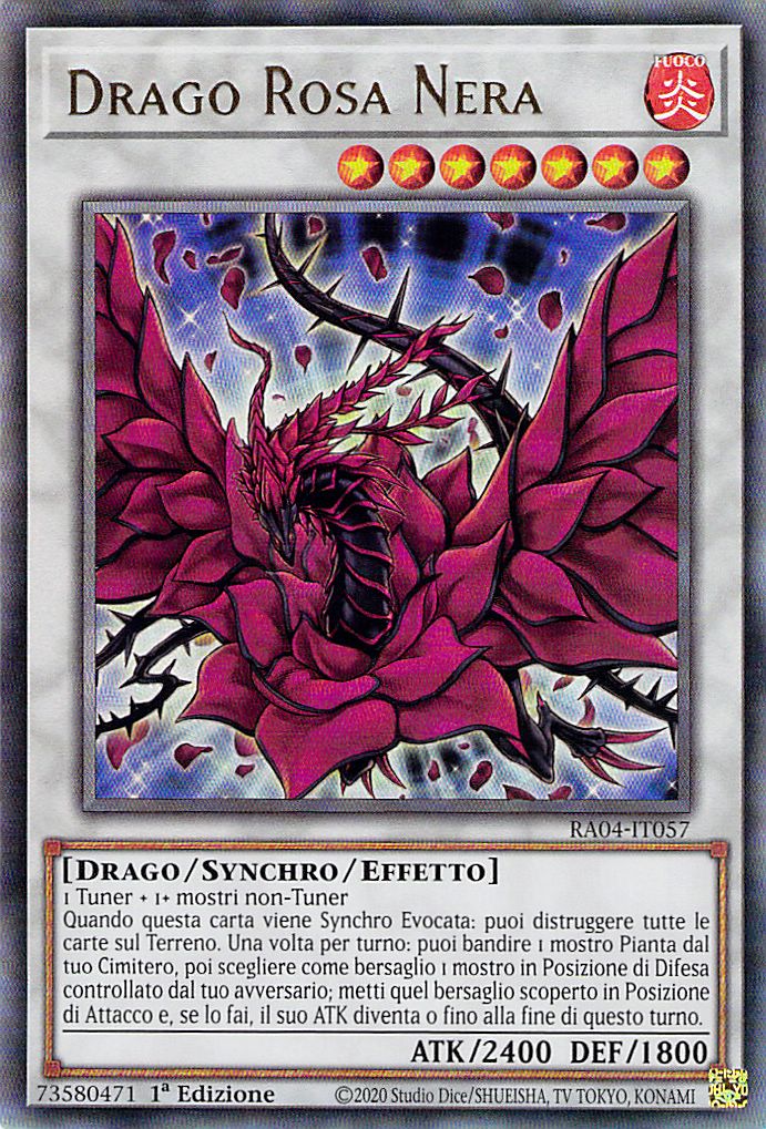Drago Rosa Nera 
