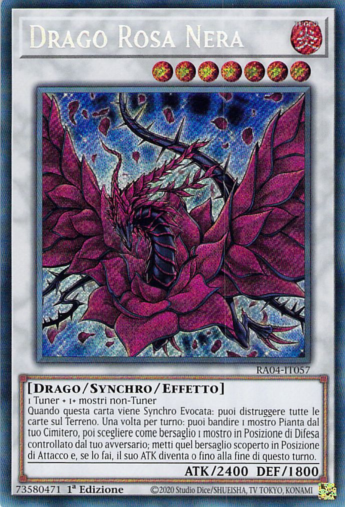 Drago Rosa Nera 