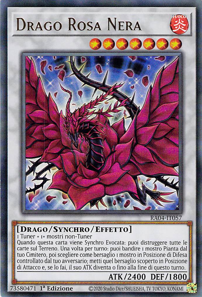 Drago Rosa Nera 