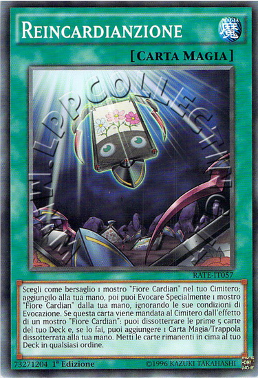 Reincardianzione