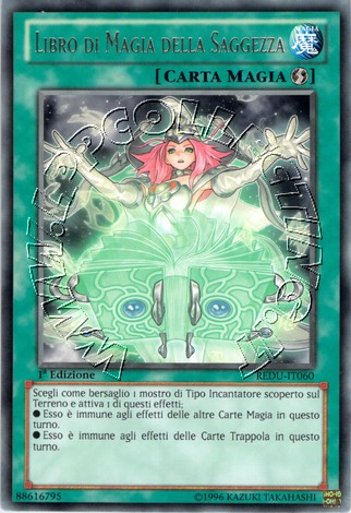 Libro di Magia della Saggezza