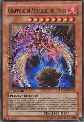 Grappolo di Amarillidi di Fenice