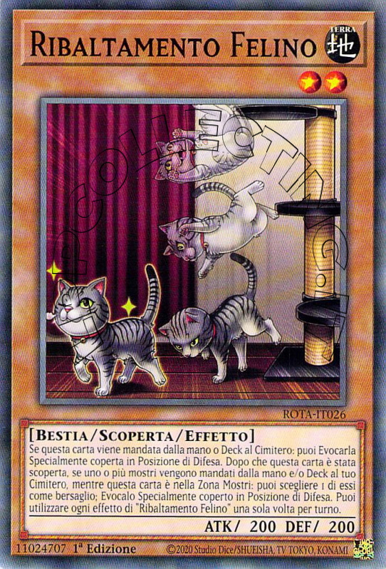 Ribaltamento Felino