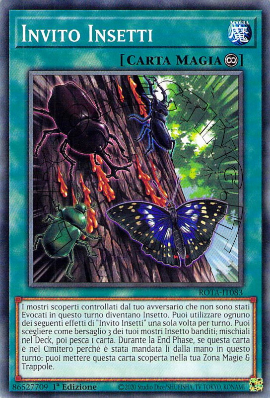 Invito Insetti