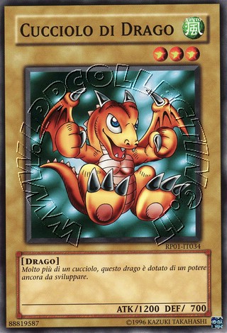 Cucciolo di Drago