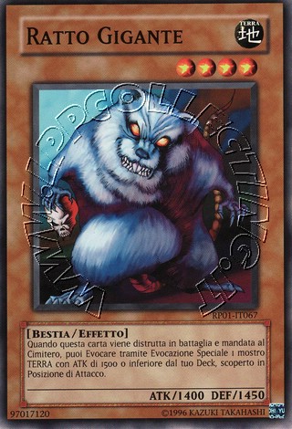 Ratto Gigante