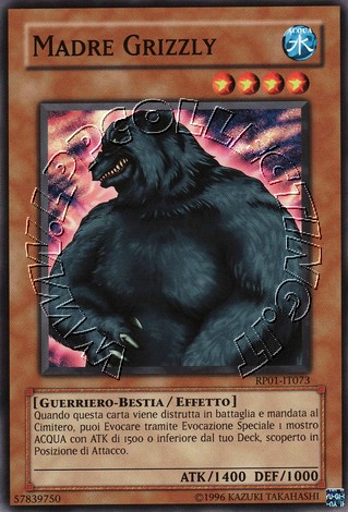 Madre Grizzly
