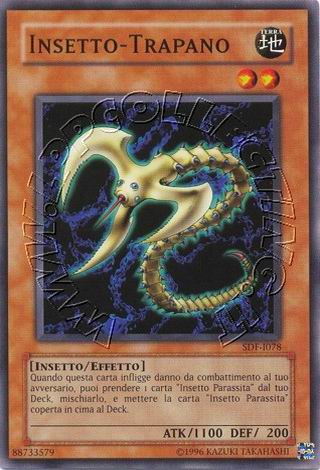Insetto-Trapano