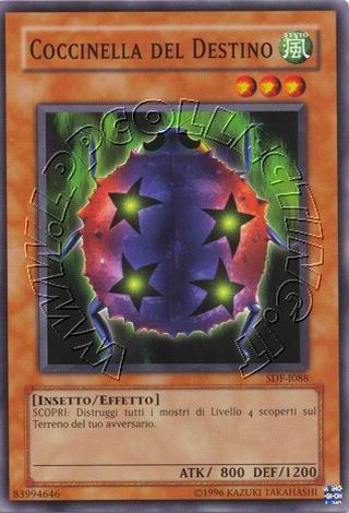 Coccinella del Destino