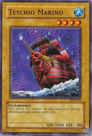 Teschio Marino