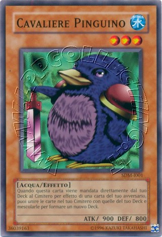 Cavaliere Pinguino