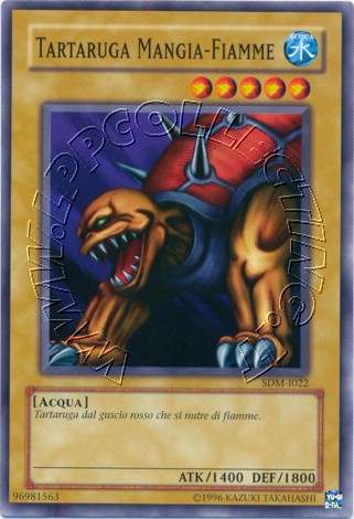 Tartaruga Mangia-Fiamme