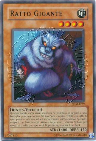 Ratto Gigante