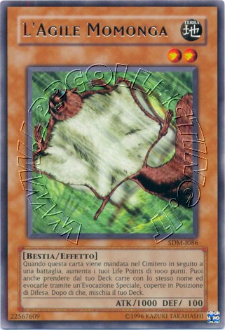 L