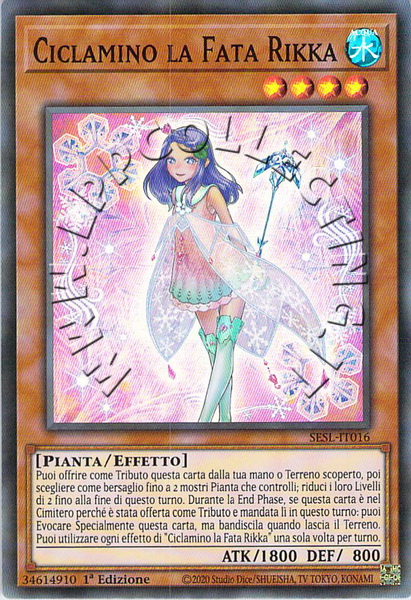 Ciclamino la Fata Rikka