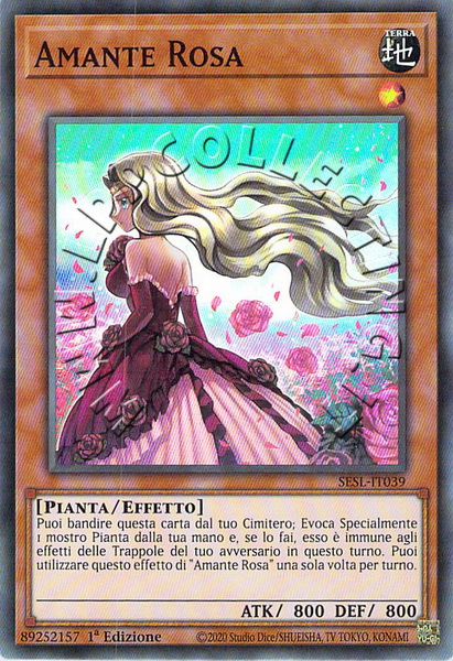 Amante Rosa