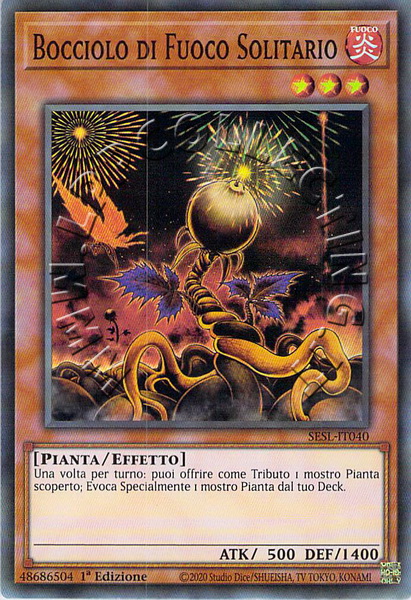 Bocciolo di Fuoco Solitario