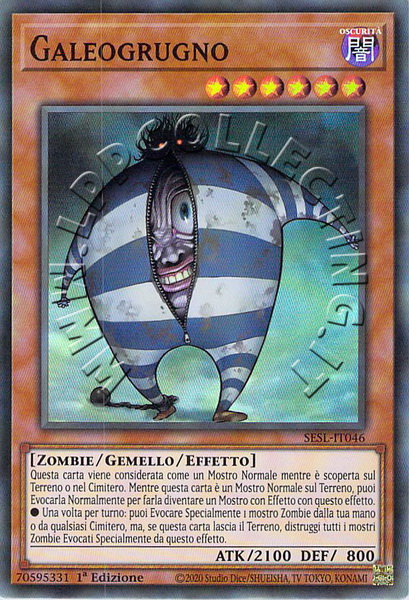 Galeogrugno