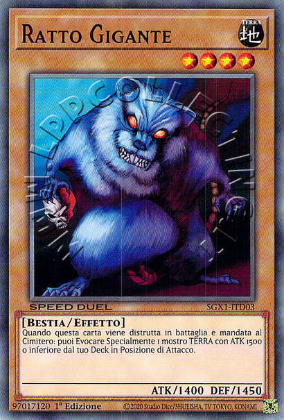 Ratto Gigante