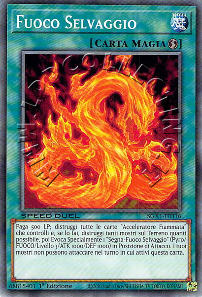 Fuoco Selvaggio