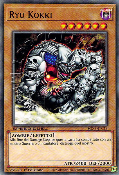 Ryu Kokki