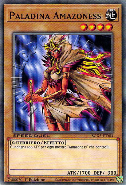 Paladina Amazoness