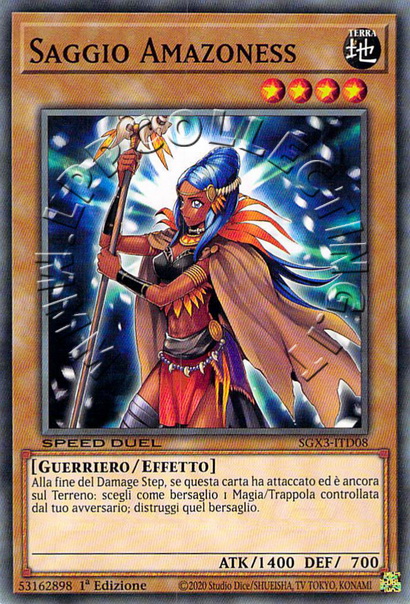Saggio Amazoness