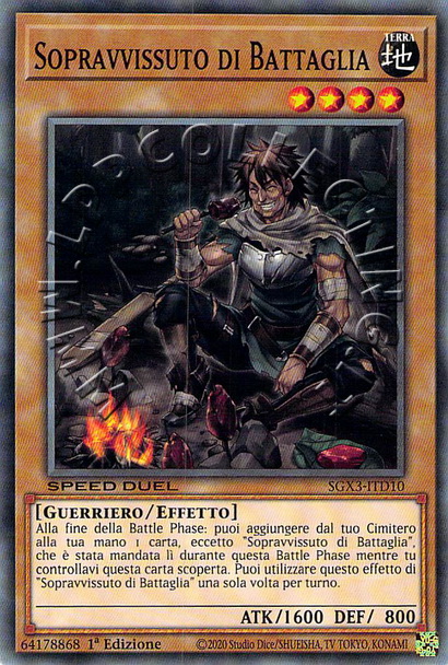 Sopravvissuto di Battaglia
