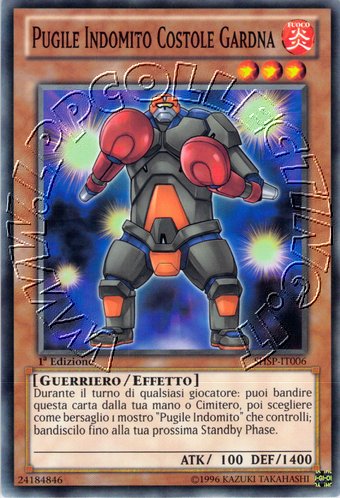 Pugile Indomito Costole Gardna