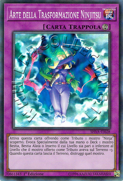 Arte della Trasformazione Ninjitsu