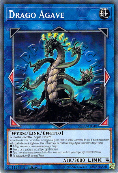 Drago Agave