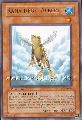 RANA degli Alberi