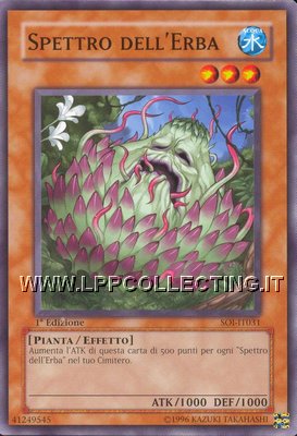 Spettro dell