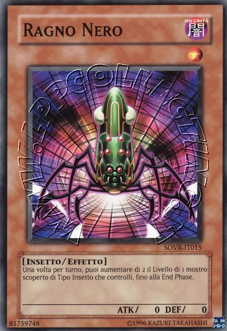 Ragno Nero