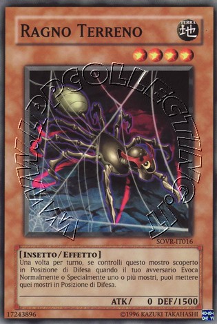 Ragno Terreno
