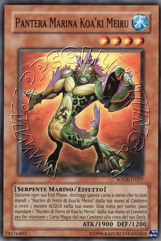 Pantera Marina Koa