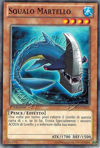 Squalo Martello