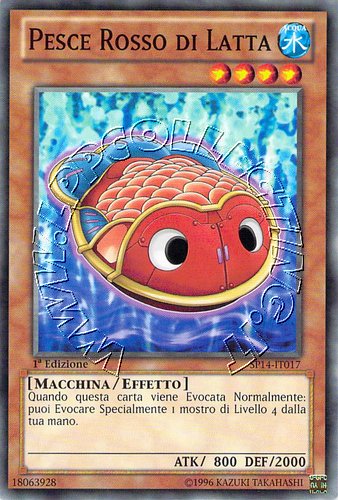 Pesce Rosso di Latta