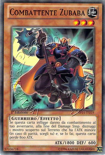 Combattente Zubaba