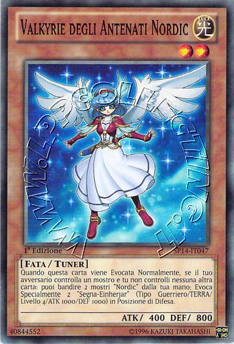 Valkyrie degli Antenati Nordic