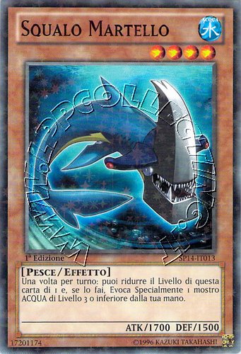 Squalo Martello