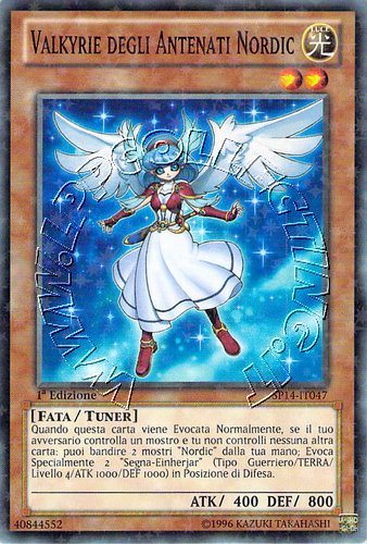 Valkyrie degli Antenati Nordic