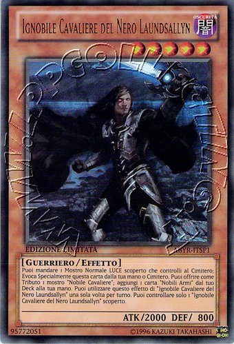 Ignobile Cavaliere del Nero Laundsallyn